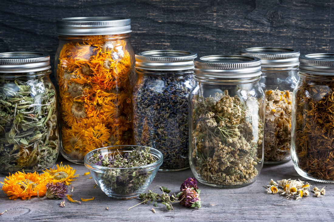 The Power of Herbs: How a Full Body Cleanse Works