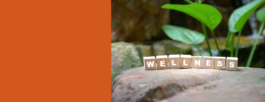 The Reset • Balance • Rebuild Method: A Simple Framework for Creating a Stronger Health Foundation