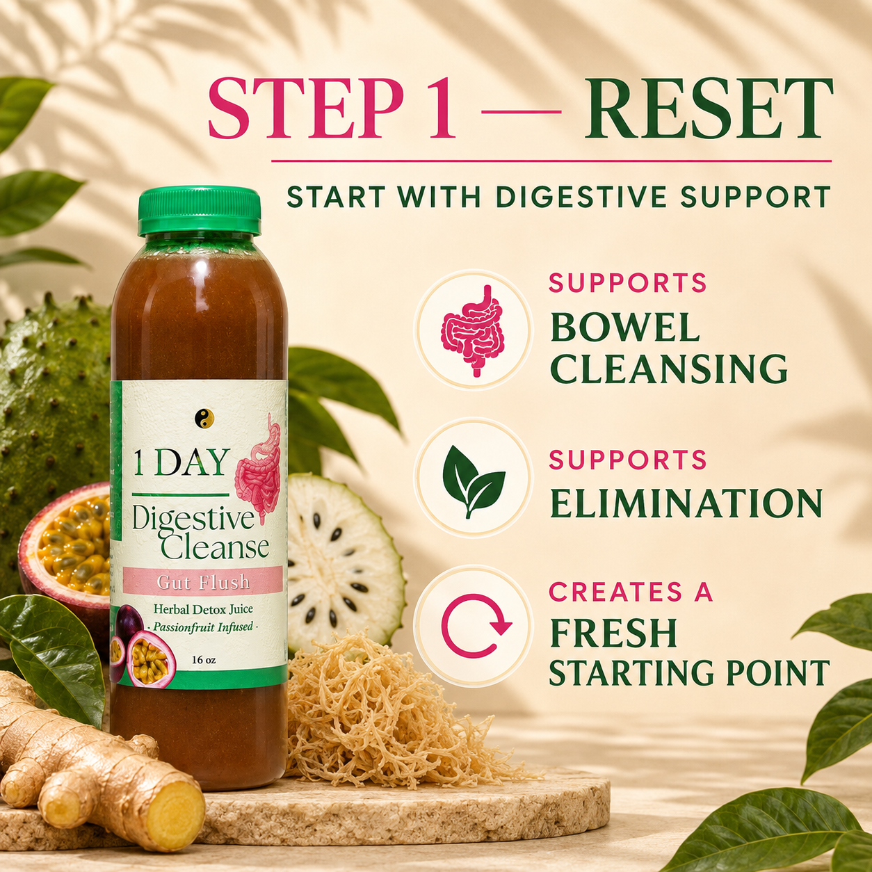 Gut Balance Bundle