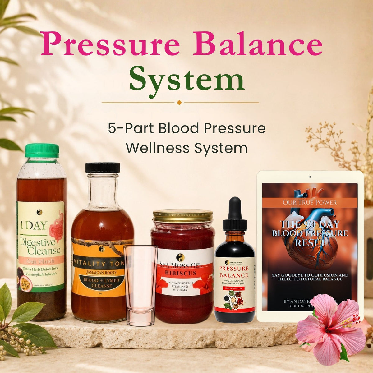 Pressure Balance System