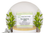 Eucalyptus Aloe Vera Soap Bar