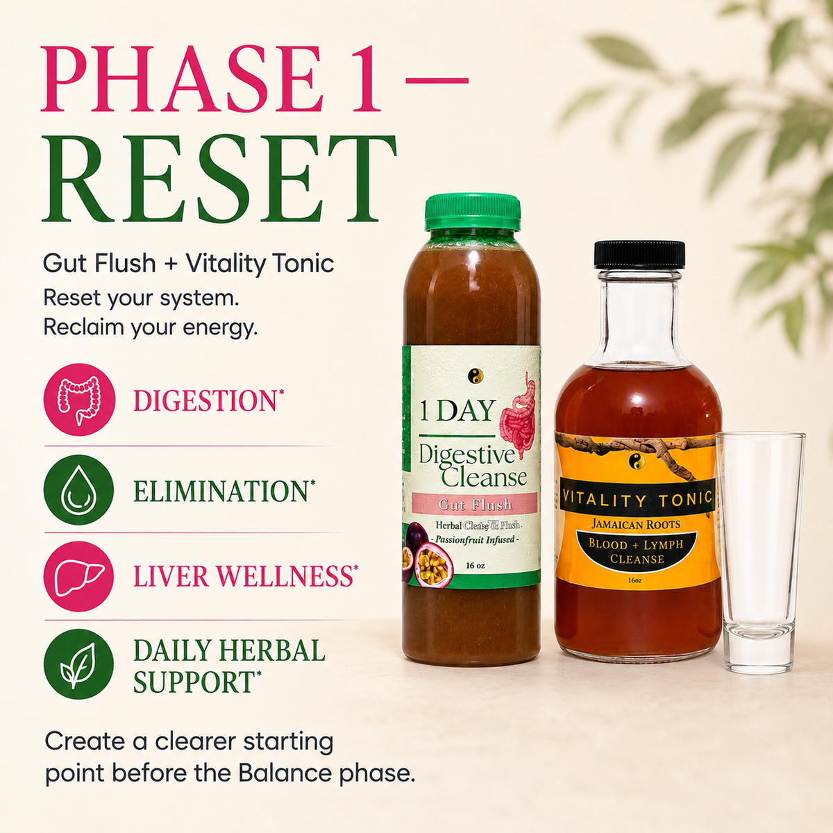 PCOS Hormone Reset Bundle
