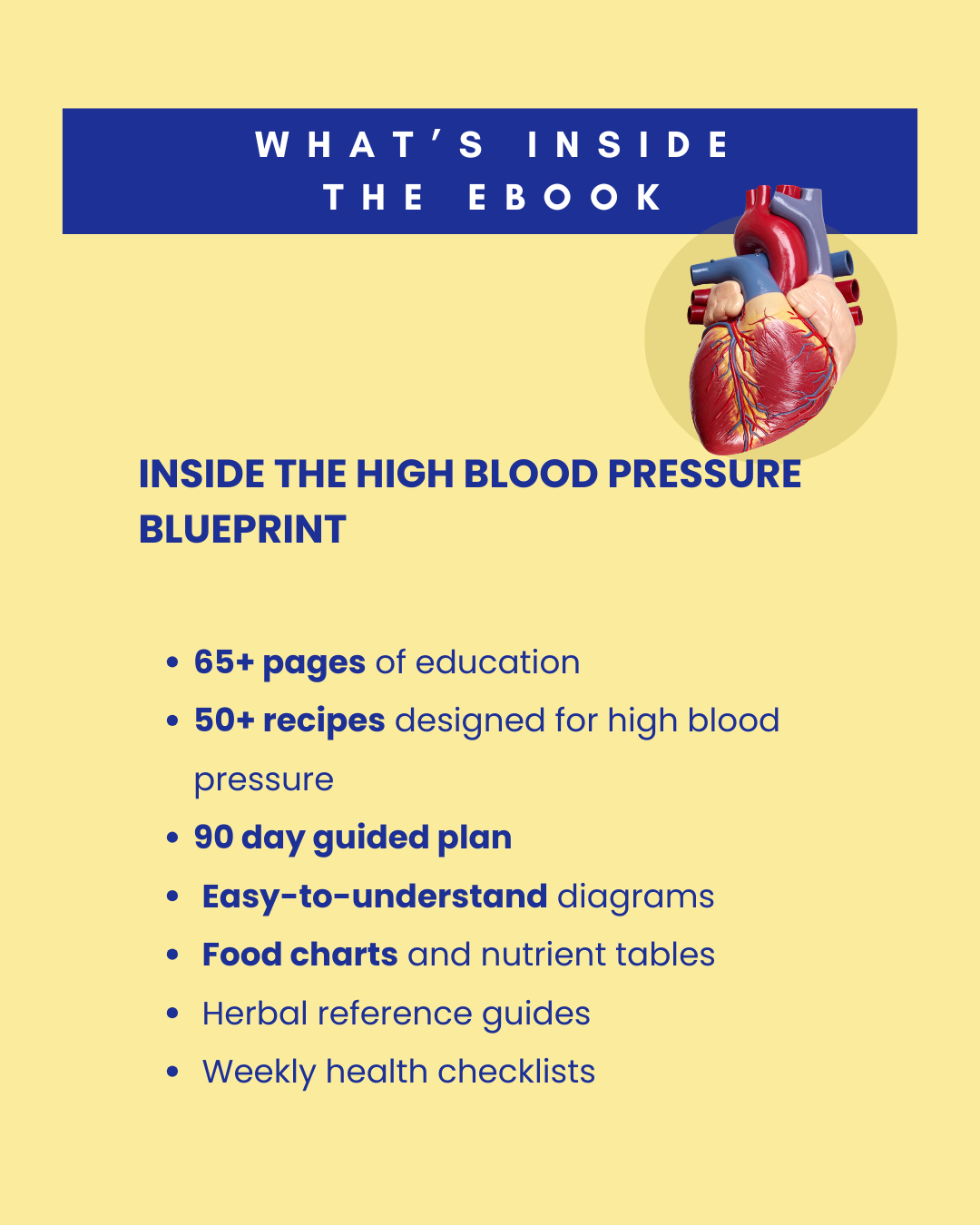 The High Blood Pressure 90 Day Reset