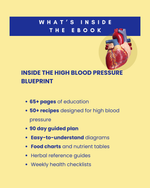 The High Blood Pressure 90 Day Reset