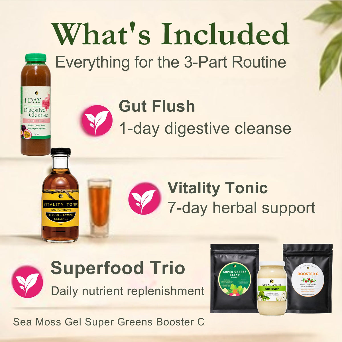 Parasite Detox Bundle: Part 1, 2, 3 (without skincare)