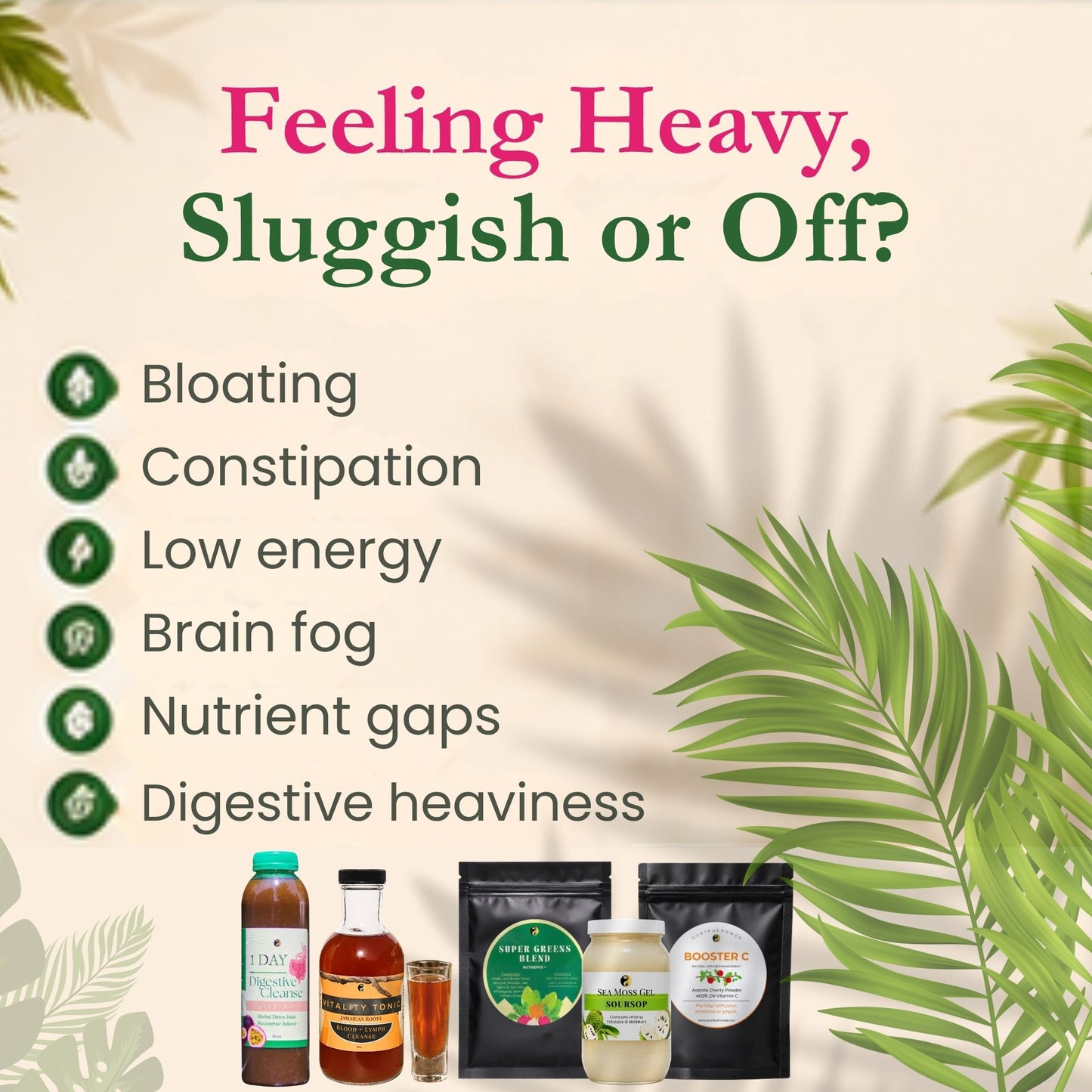 Parasite Detox Bundle: Part 1, 2, 3 (without skincare)