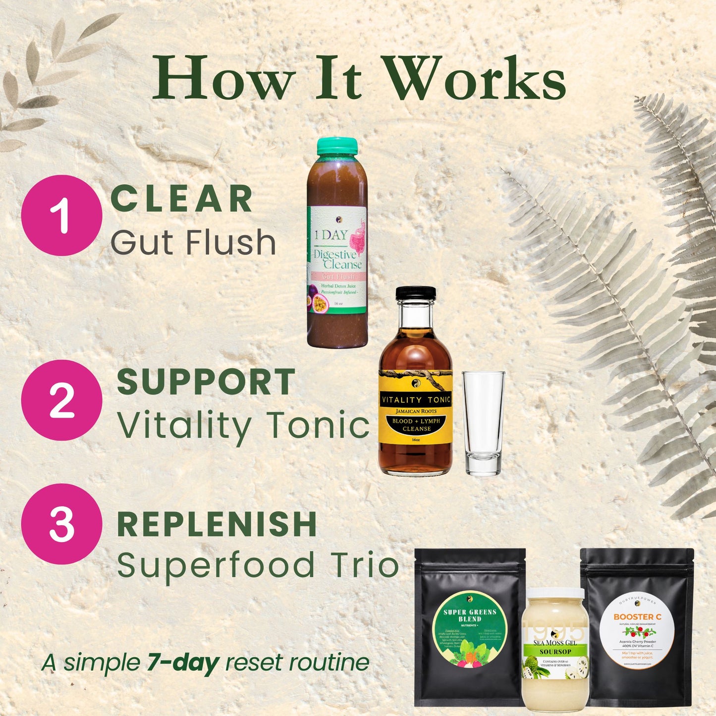 Parasite Detox Bundle: Part 1, 2, 3 (without skincare)