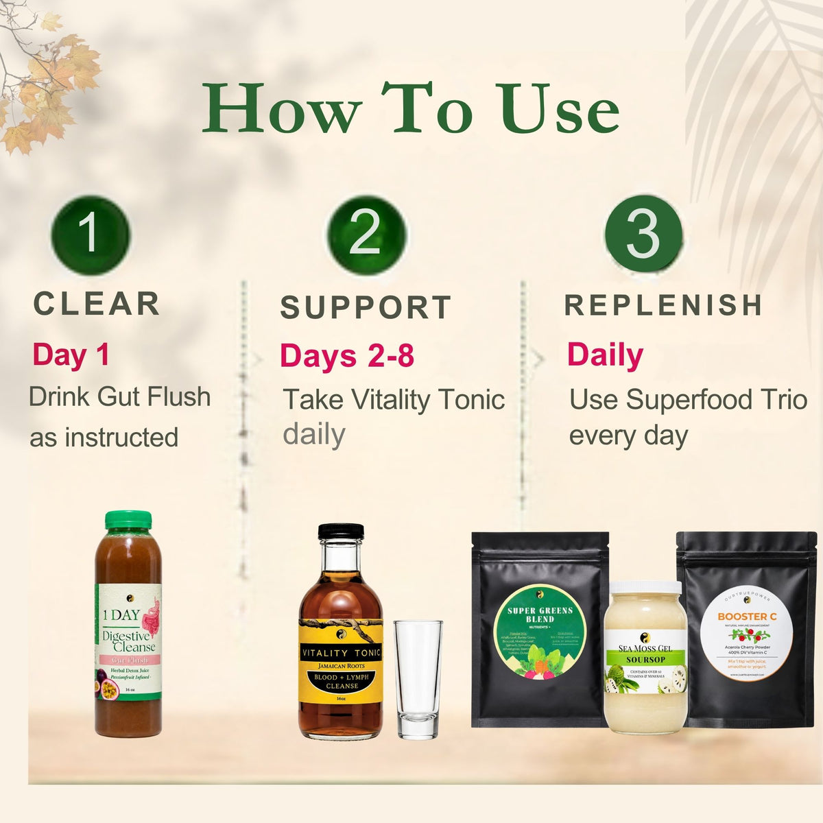 Parasite Detox Bundle: Part 1, 2, 3 (without skincare)