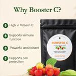 Parasite Detox Bundle: Part 1, 2, 3 (without skincare)