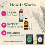 Parasite Detox Bundle: Part 1, 2, 3 (without skincare)