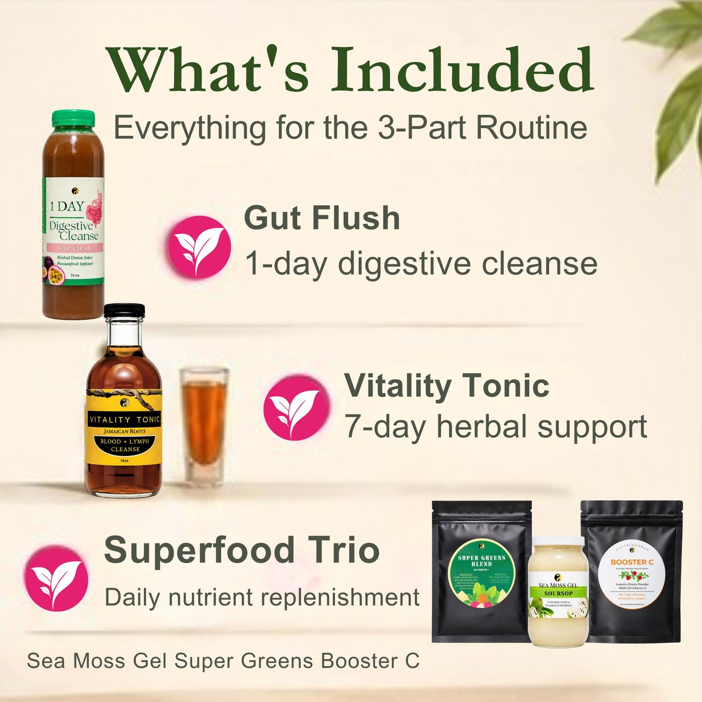 Parasite Detox Bundle: Part 1, 2, 3 (without skincare)