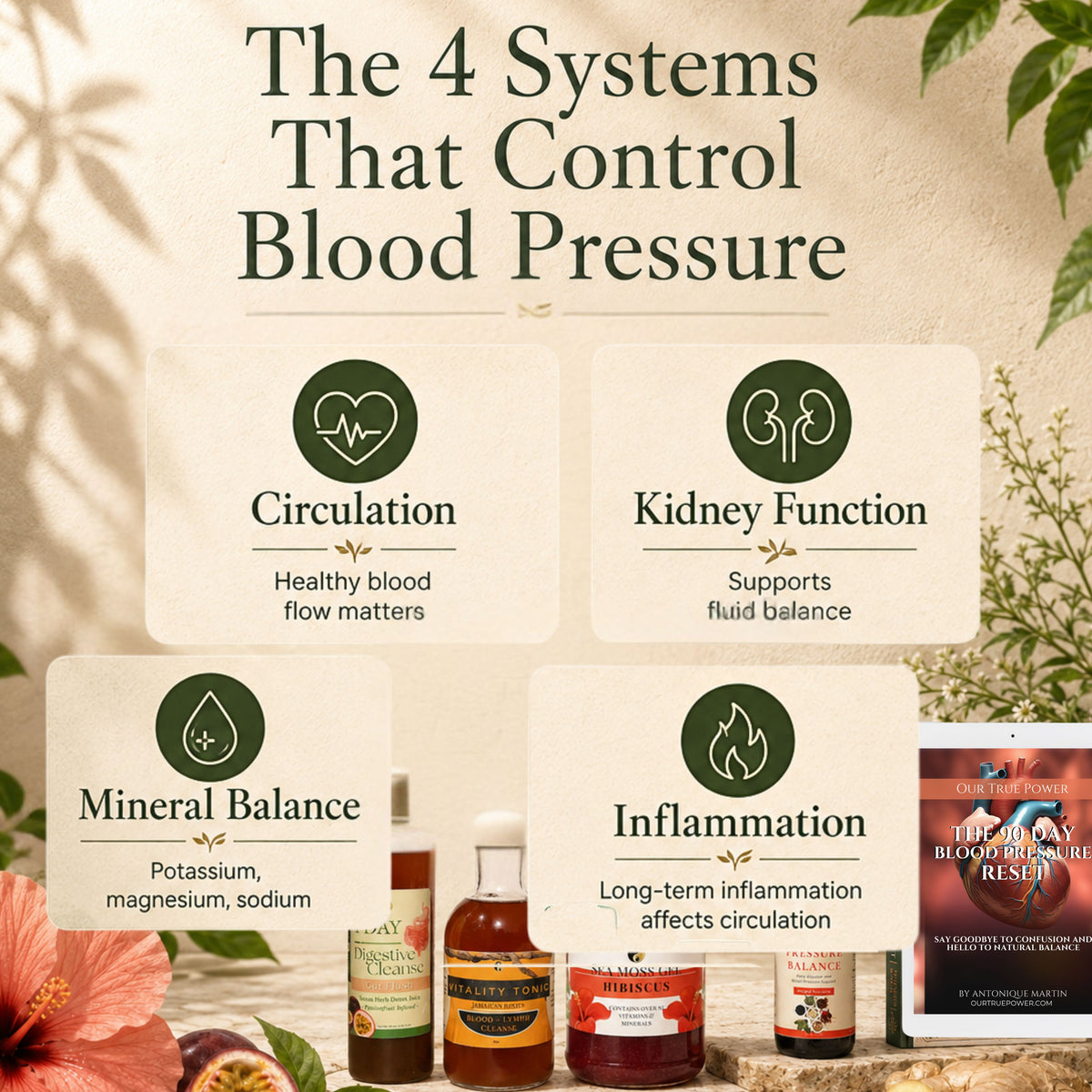 Pressure Balance System