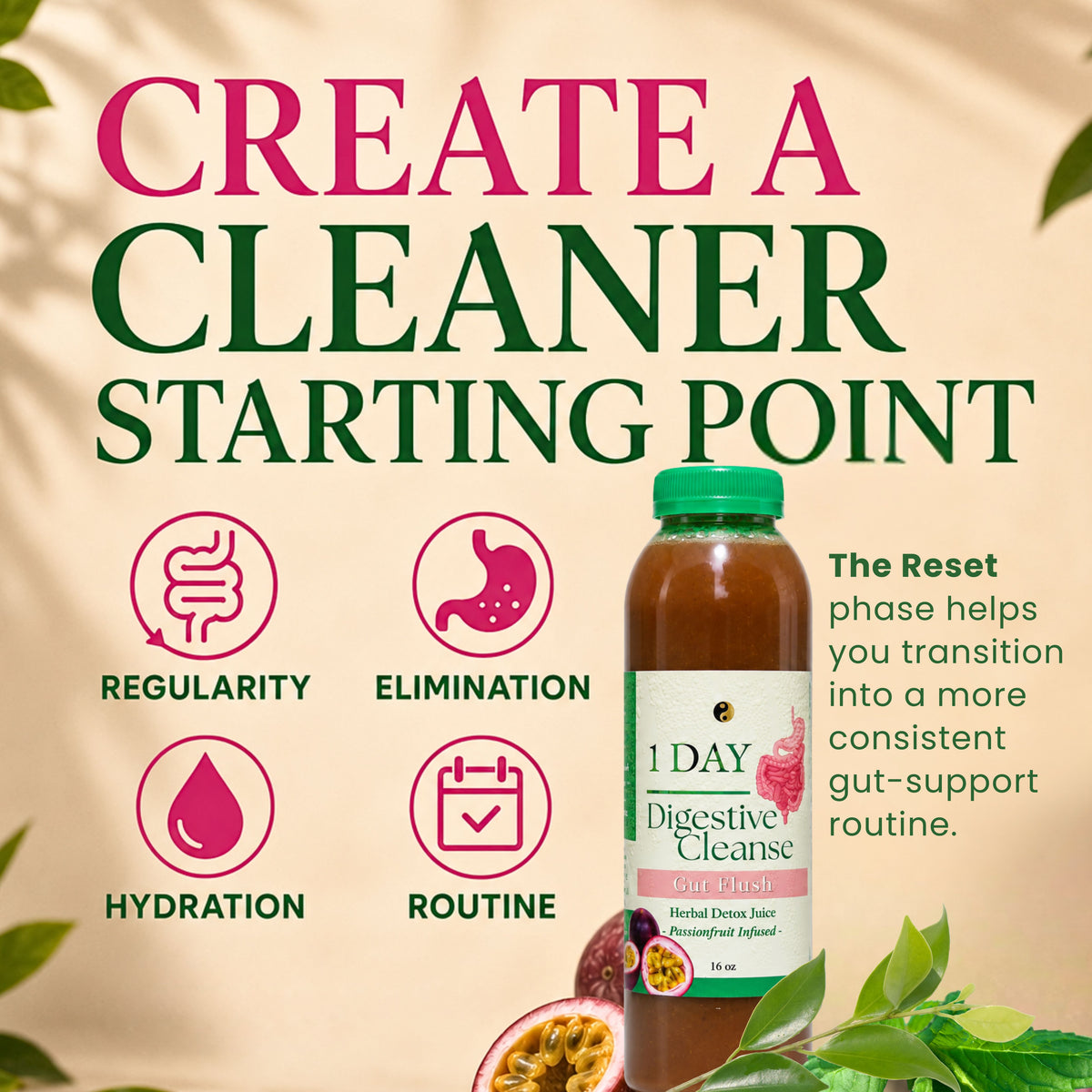 Gut Balance Bundle