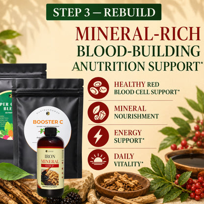 Anemia Balance Bundle
